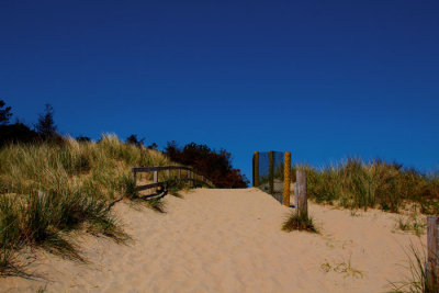 pathway in sand .jpg