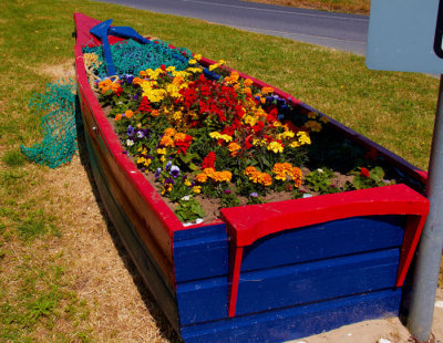 boatload of flowers .jpg