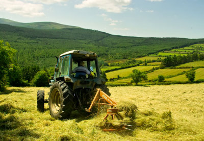 turning the hay 3.jpg