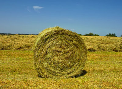 bale of hay 2.jpg