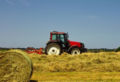 saving the hay 10.jpg