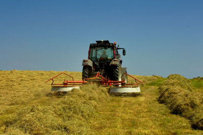 saving the hay 