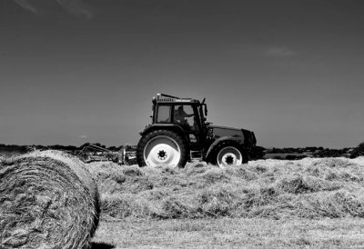saving the hay