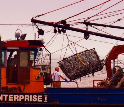 fishing for mussels 2.jpg