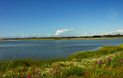 ladys isalnd lake .jpg