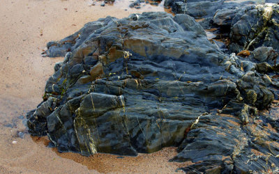 rock study 3.jpg