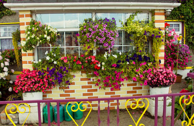 flower house 6.jpg