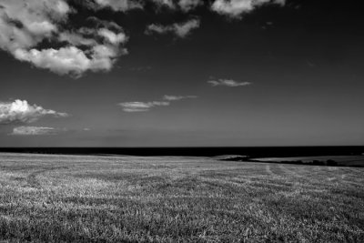 field and sea 9.jpg