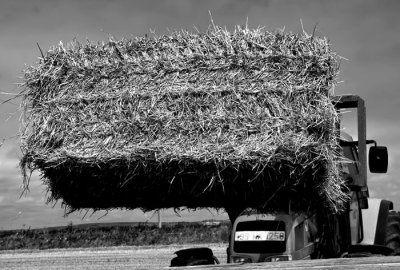 straw bale 5.jpg