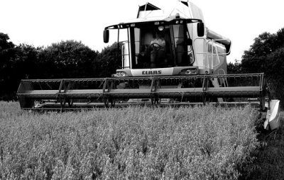 harvesting