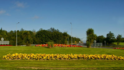 flower beds 1.jpg