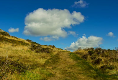 pathway and cloud .jpg