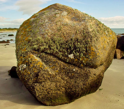 rock 2.jpg