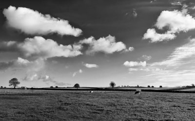 rural cscene 3.jpg