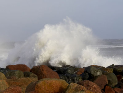 sea spray 4.jpg