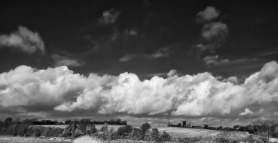 field and clods 7.jpg