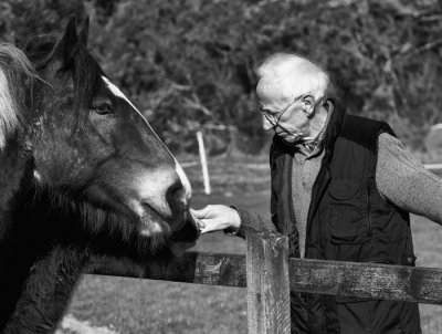 feeding the horses 2.jpg