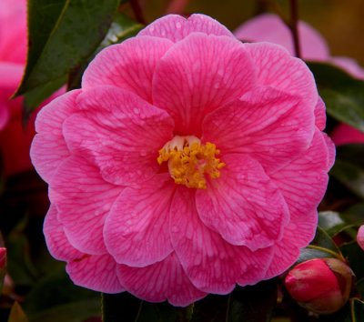 g9/04/870004/3/154887753.PW6lmewz.jpg