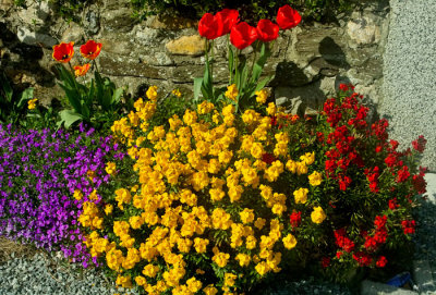 spring flowers.jpg