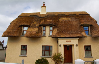 newly thatched house.jpg