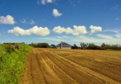 field and clouds.jpg