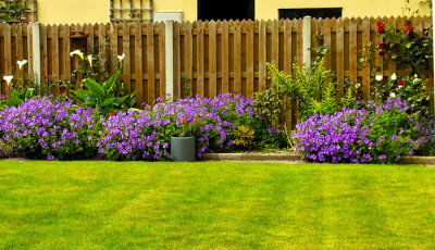 flower bed.jpg