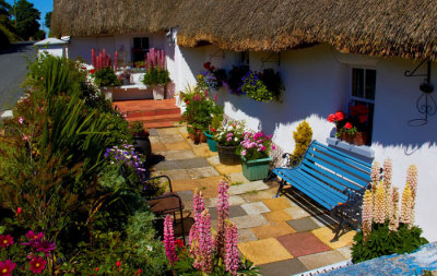 front garden 2.jpg