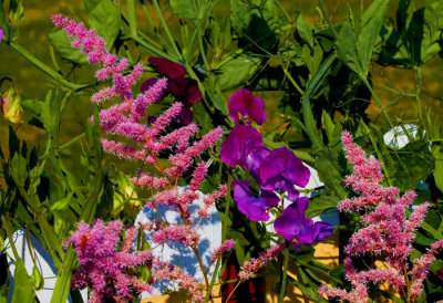 flowers 1.jpg