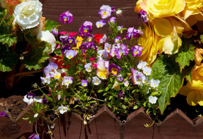 flower box.jpg