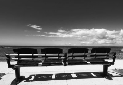 seat with a view 2.jpg