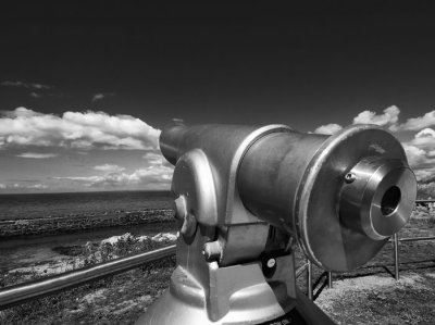scene with a view.jpg