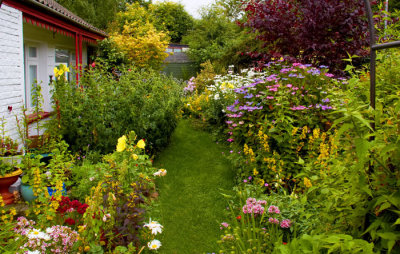 front garden.jpg