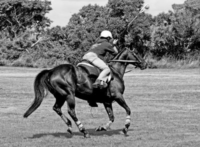 polo practise 4.jpg