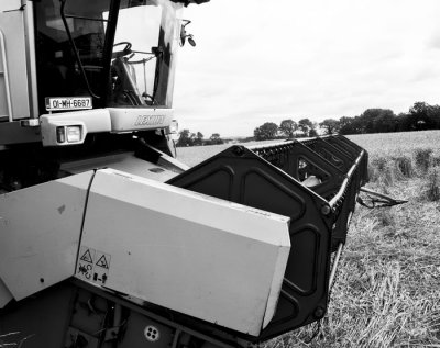 harvesting 2
