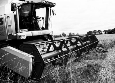 harvesting 1