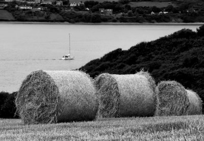 straw bales 3.jpg