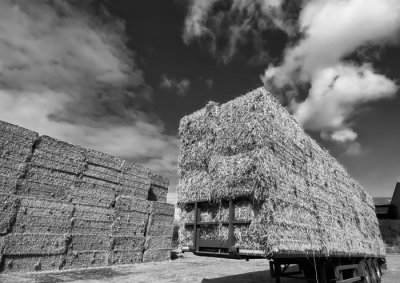 straw bales.jpg