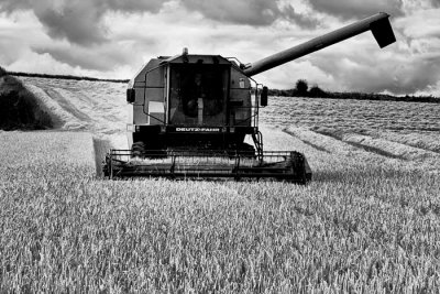harvesting 10.jpg