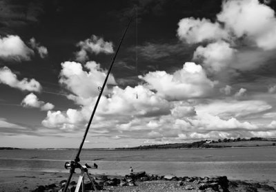 fishing rod and sky.jpg