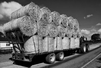load of bales 3.jpg