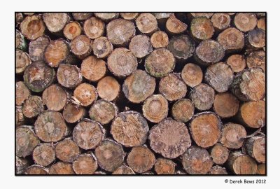 Weddersbie Woodpile