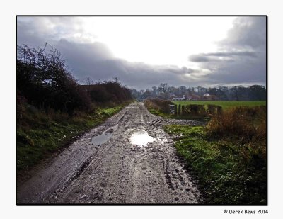 Muddy Track 