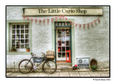 The Little Curio Shop