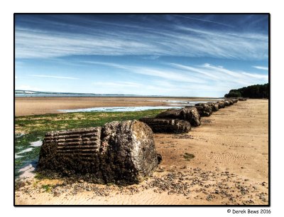 Tayport Heath