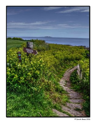 Fife Coastal Path