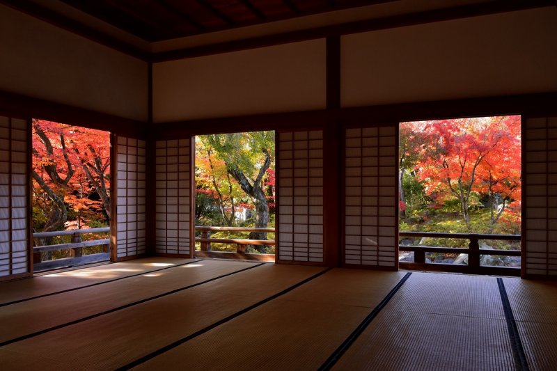 Hokyo-in Temple at Kyoto 2014