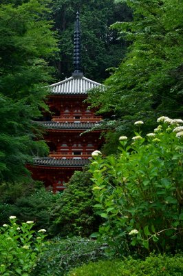 Gansen-ji Temple at Kyoto