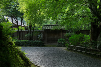 Kozanji Temple at Kyoto