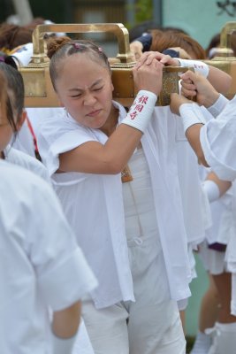 Hassaku-sai at Kyoto (2013)