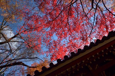 Konzo-ji Temple at Kyoto